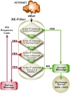 XE-Filter Four Layers of emMail FIltering Protection